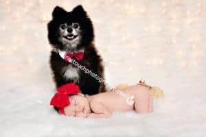 Silveira's Touch Photography baby and puppy photo shoot