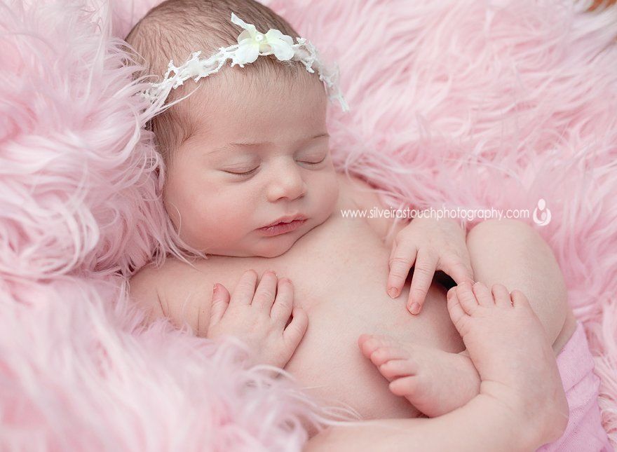Newborn portrait livingston nj