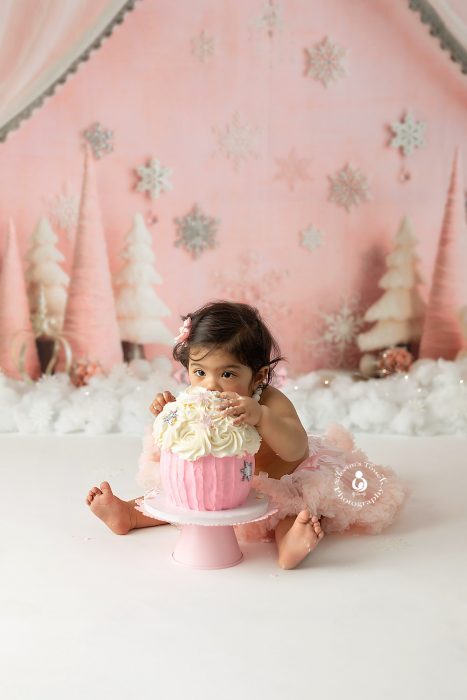 cake smash birthday photos NJ cake smash birthday photos NJ