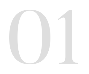 1 1
