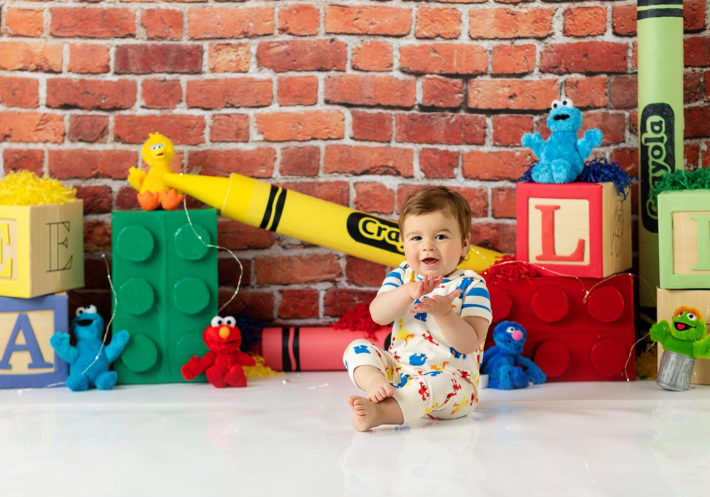 Sesame Street theme birthday session Sesame Street theme birthday session
