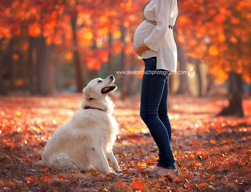 luxury outdoor maternity phography