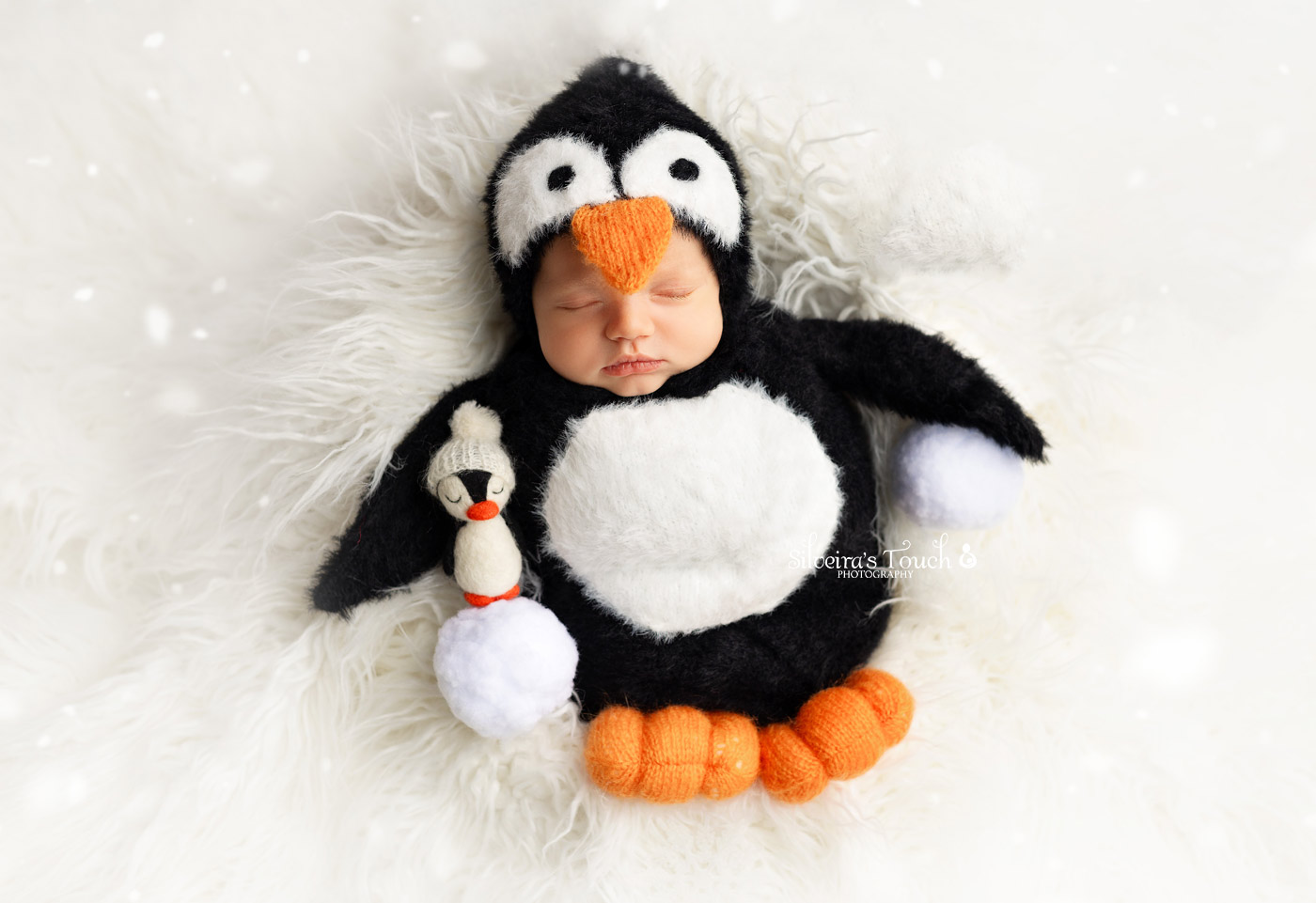 baby penguin newborn photoshoot
