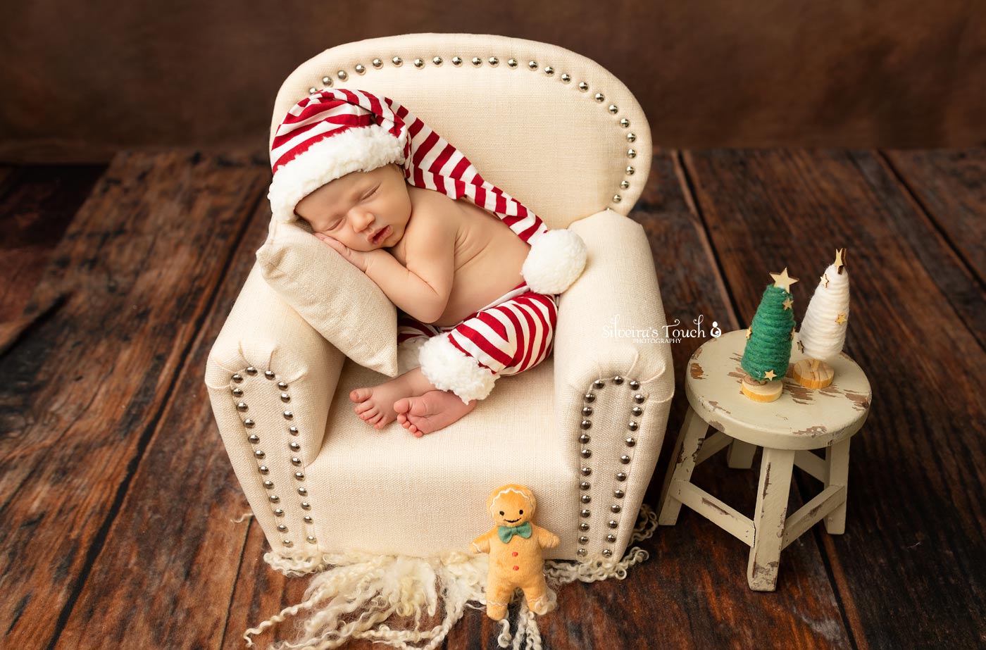 newborn christmas portrait